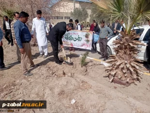 آیین هفته درختکاری در دانشگاه فنی وحرفه‌ای واحد استان سیستان وبلوچستان برگزار شد. 3