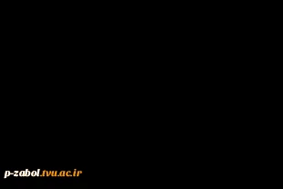 آیین کلنگ‌زنی مجموعه ورزشی خیرساز دکتر بازرگان در آموزشکده فنی و حرفه‌ای دختران قم با حضور ریاست دانشگاه فنی و حرفه‌ای کشور 3