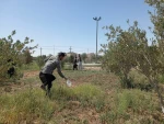به مناسبت روز زمین پاک، برنامه پاکسازی طبیعت  توسط اساتید ، دانشجویان و کارمندان آموزشکده فرخی سیستانی  برگزار شد. 5