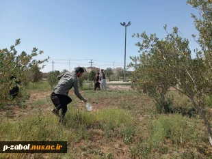 به مناسبت روز زمین پاک، برنامه پاکسازی طبیعت  توسط اساتید ، دانشجویان و کارمندان آموزشکده فرخی سیستانی  برگزار شد. 5