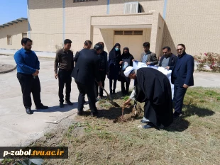 کاشت نهال به یاد امام شهیدمان سید علی خامنه ای در آموزشکده زابل  3